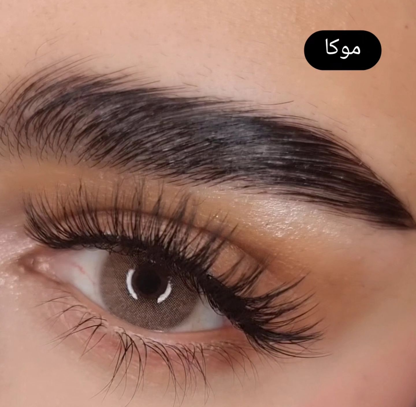 لنز عسلی بدون دور طبی برند هرا