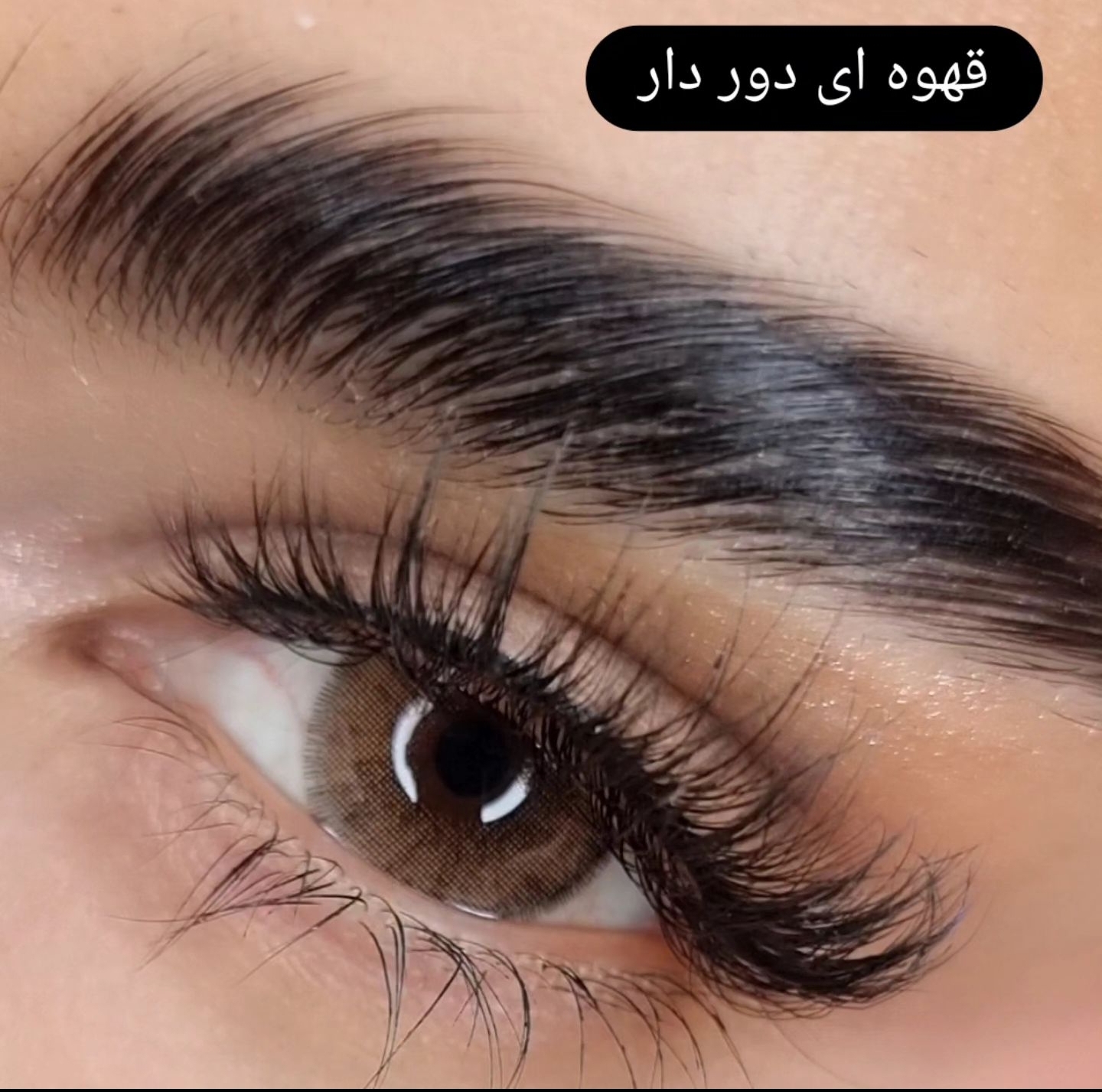 لنز عسلی خاکی دوردار طبی برند هرا