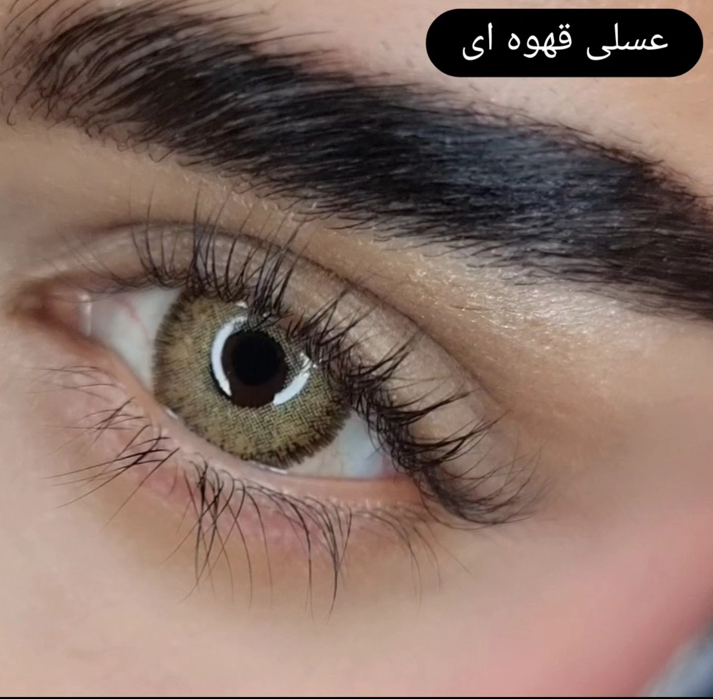 لنز عسلی دوردار طبی برند هرا